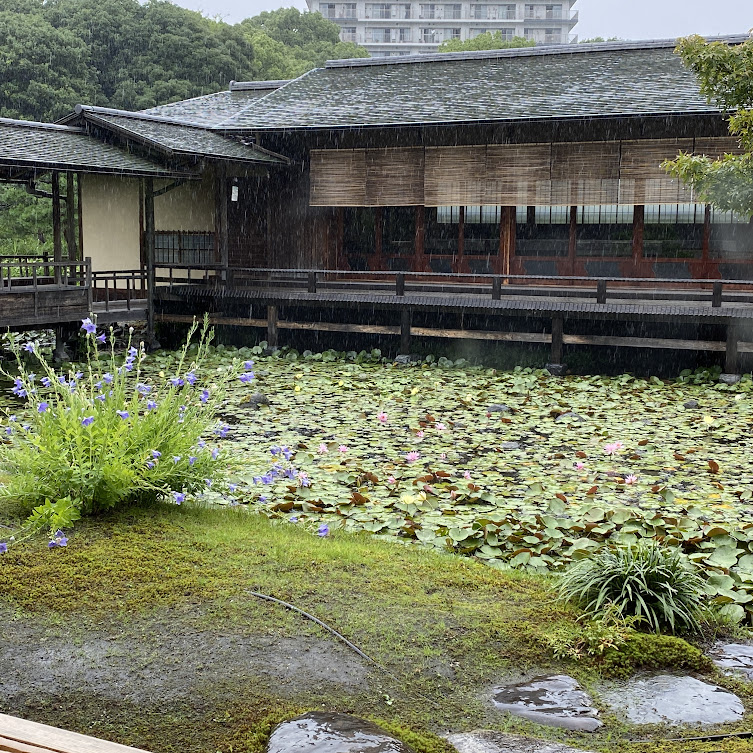 白鳥庭園　お茶室　雨